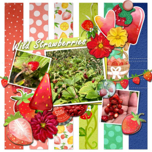 Wild Strawberries
