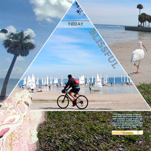 LOD 17 - LG - DTSP