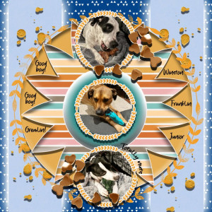 LOD SoCo All My Grand Dogs Winston, Franklin And Junior