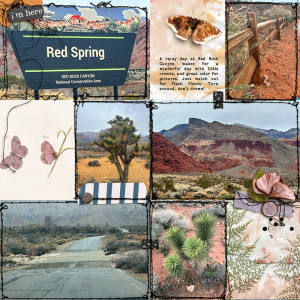 A Hike in Red Springs