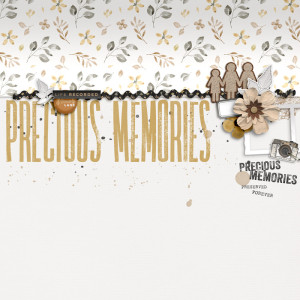 Precious Memories
