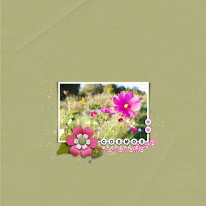 Kim Jensen’s February 2024 Challenge - Colorful Clean & Simple