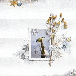 Lynn Grieveson February 2024 Featured Products Challenge