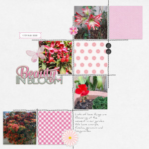 2023-10-10_BeautyInBloom