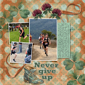 Inspiration_janisn