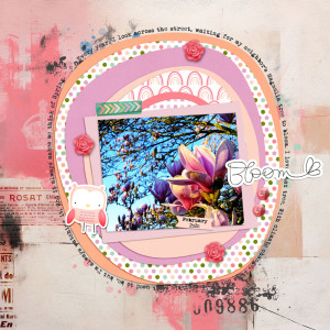 Bloom