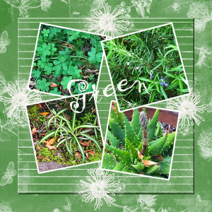 LGrievesonMarchChallengeGreen_janisn