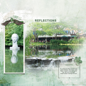 Reflections