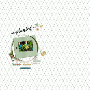 24-03_TLP_March-Scraplift-Challenge