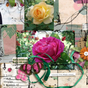 Roses