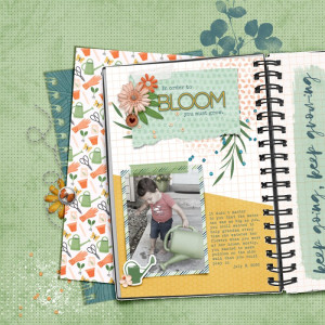 To-bloom