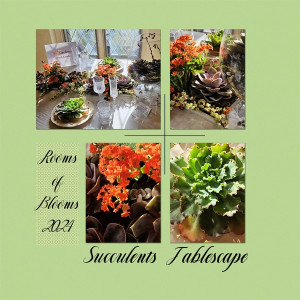 Succulents Tablescape