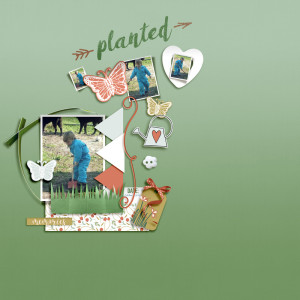 Planted