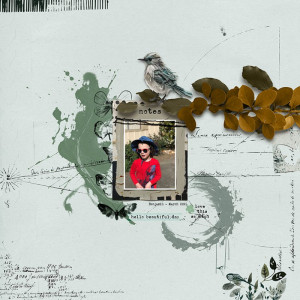 032024SC-OrganicModern