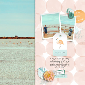 Camargue NP [LOD24 / Day 27: Sahin Designs]