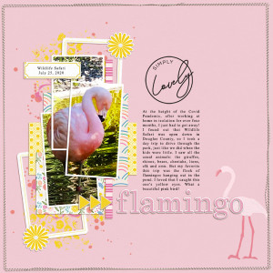 Flamingo