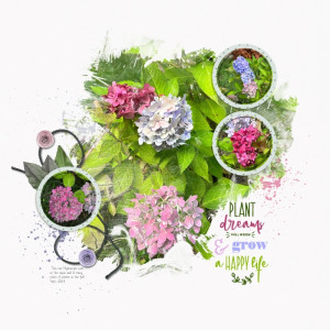 Plant Dreams