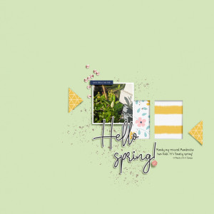 Designed by Soco_March24_SOSN13Mar_Bloom