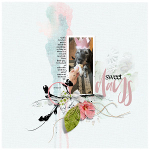 SweetDays