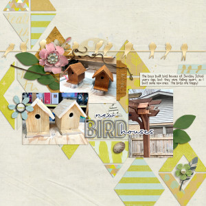 Built New Birdhouses