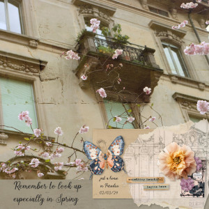 240302_Paradiso
