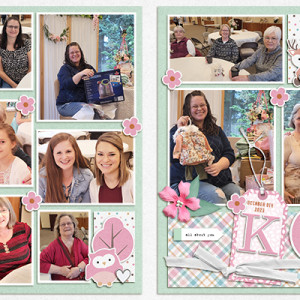 Baby Karis Two Pager