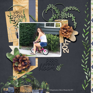 Bloom-on-the-bike