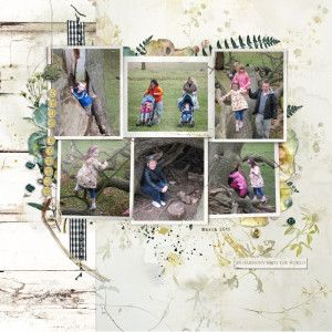 Tatton Park