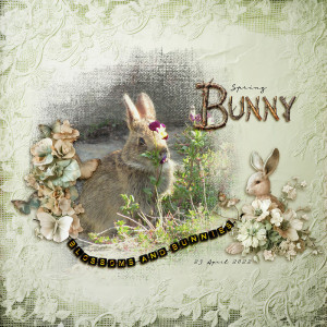 Spring Bunny