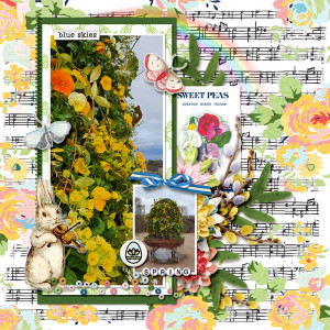 Spring