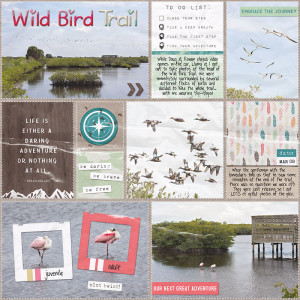 Wild Bird Trail