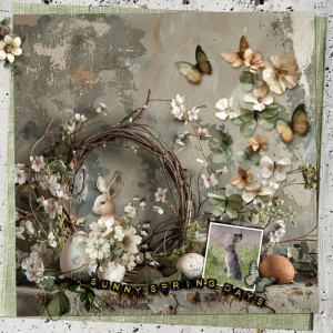 Sunny-spring-days