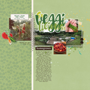 032024_ngd_veggilicious_scc2_800