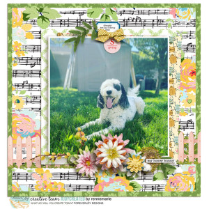 dog days of spring