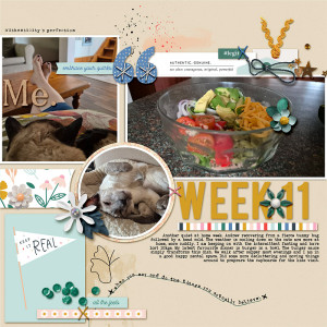 Week 11