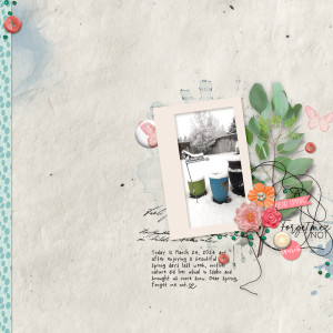 Dear-spring-forget-me-not
