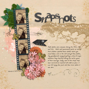Snapshots