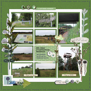 Paalgraven