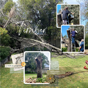 Tree-rp-