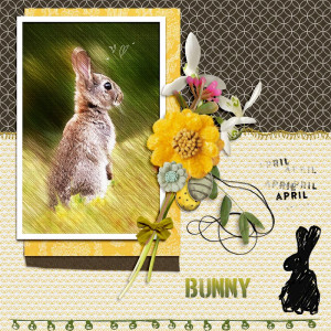 Bunny