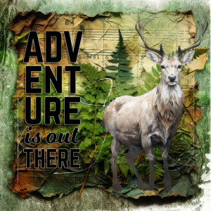 Adventure