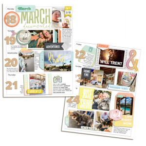 Memory Planner - Week 12