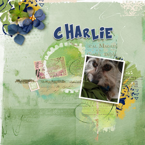 Lgreiveson Mar FP Chal CHARLIE