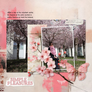 230315_cherry