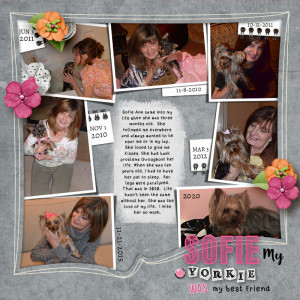 Kim Jensen Mar Chal_ Sofie My Yorkie