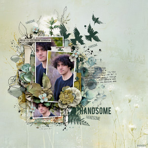 Handsome