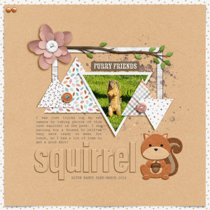 Squirrel