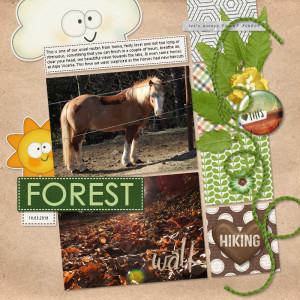 190310_forest Walk