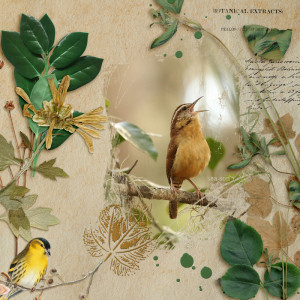 The singing bird