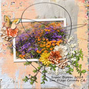 super bloom
